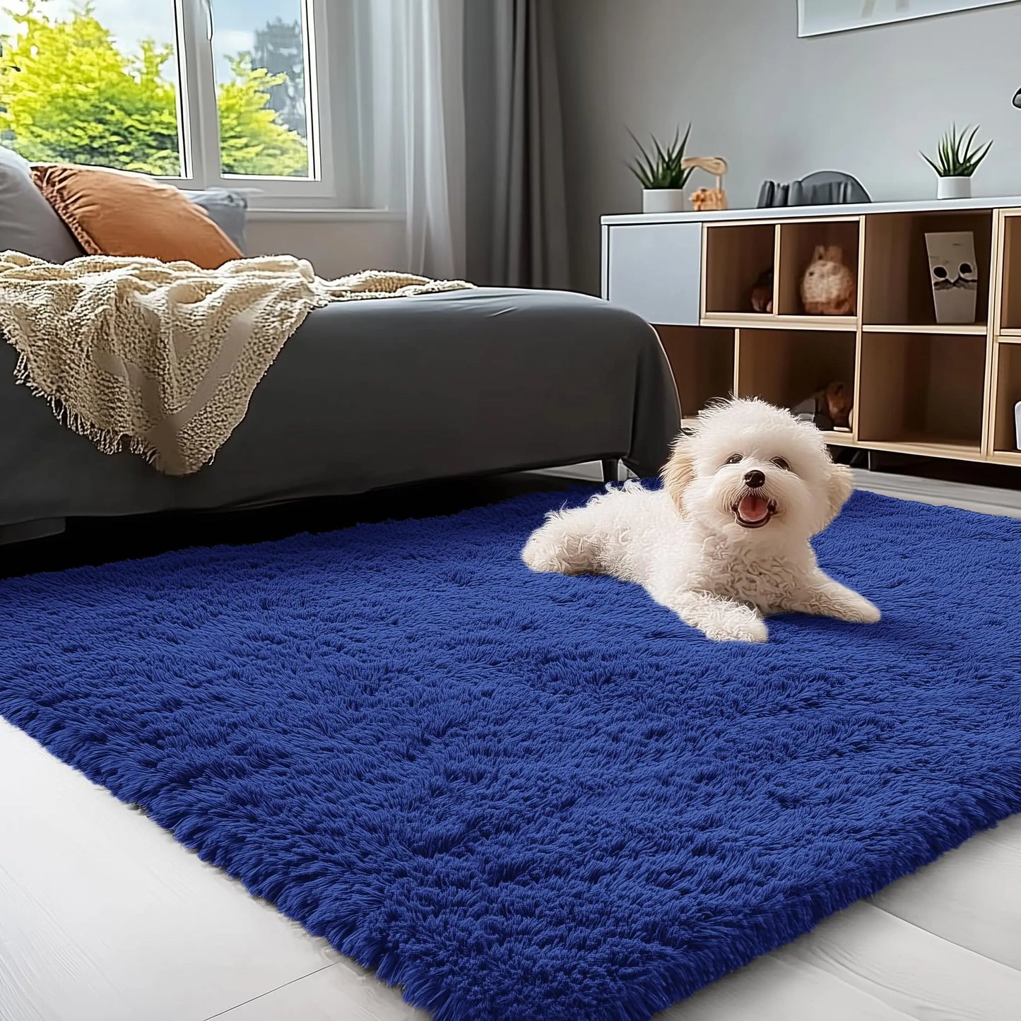 Olanly Large Area Rugs For Living Room Bedroom Soft Fluffy Shaggy Bedside Rug Indoor Floor Plush Carpet for Kids Dorm Home Decor