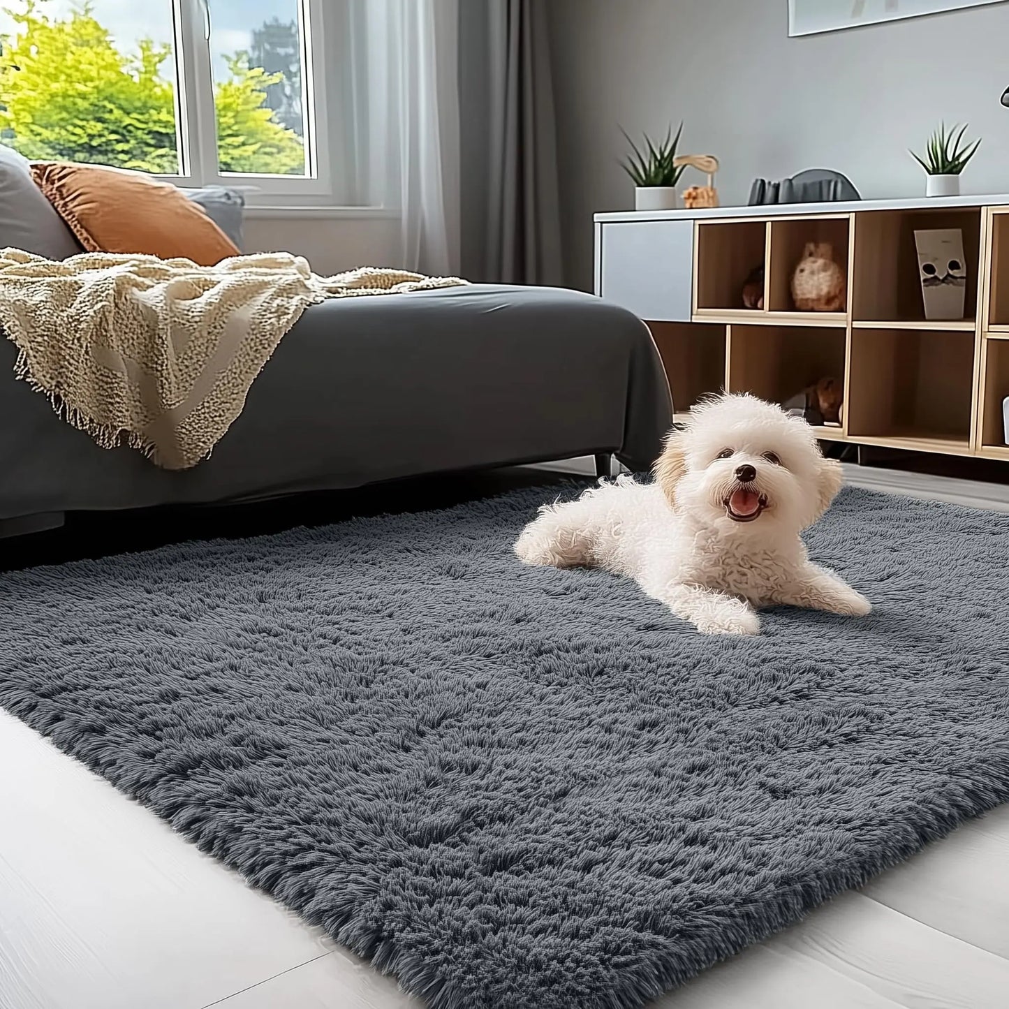 Olanly Large Area Rugs For Living Room Bedroom Soft Fluffy Shaggy Bedside Rug Indoor Floor Plush Carpet for Kids Dorm Home Decor