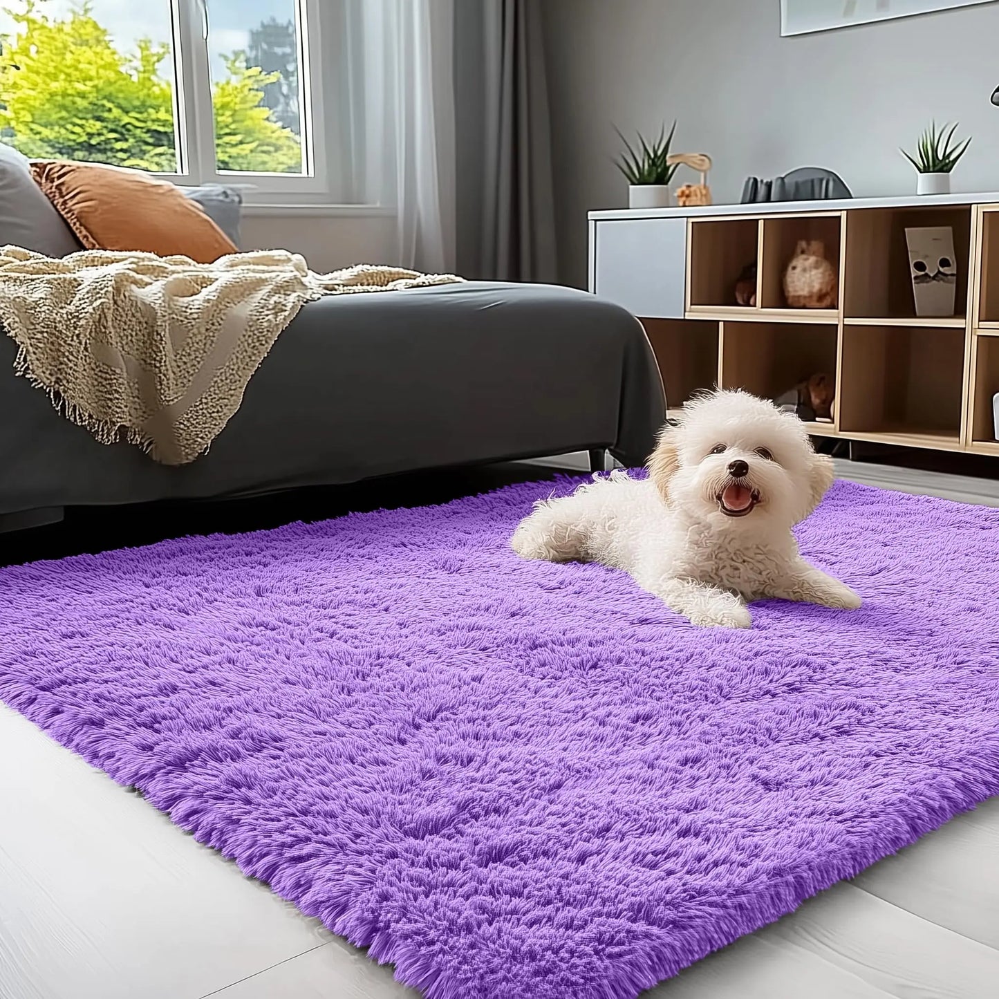 Olanly Large Area Rugs For Living Room Bedroom Soft Fluffy Shaggy Bedside Rug Indoor Floor Plush Carpet for Kids Dorm Home Decor