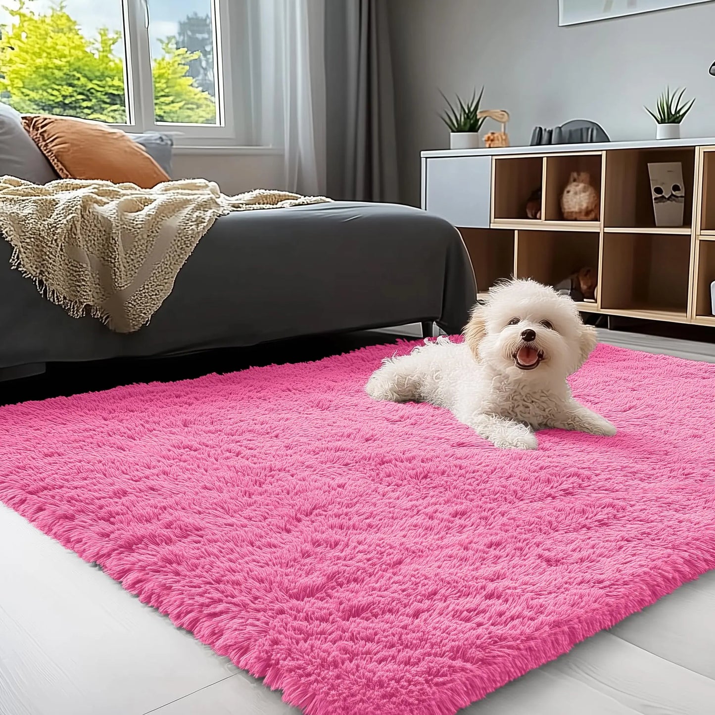 Olanly Large Area Rugs For Living Room Bedroom Soft Fluffy Shaggy Bedside Rug Indoor Floor Plush Carpet for Kids Dorm Home Decor