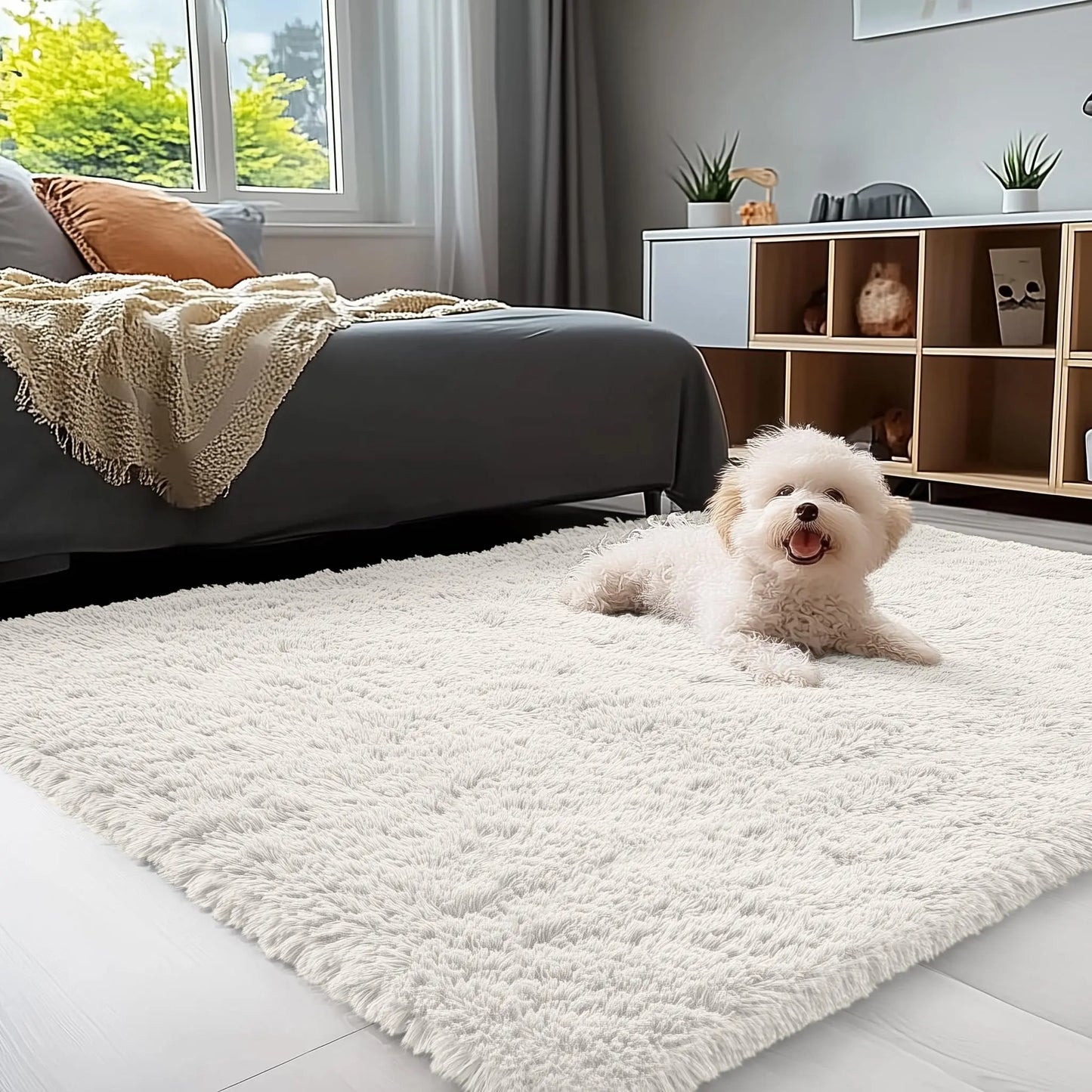 Olanly Large Area Rugs For Living Room Bedroom Soft Fluffy Shaggy Bedside Rug Indoor Floor Plush Carpet for Kids Dorm Home Decor